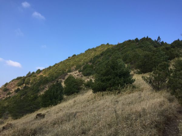 2018.03.17志佳陽大山之陡陡～抖292256