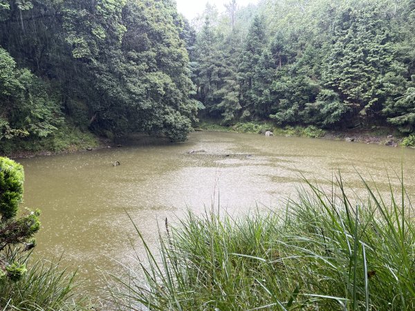 [玉山尋寶任務-02/12] 2025_0727 中之關、天池步道/南橫公路2847621