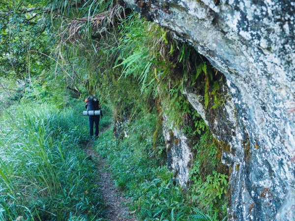 [百岳]能高越嶺逆走與奇萊南峰1042763