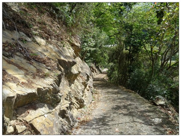 裡冷山、裡冷山南峰 ( 台中、和平 )1645804