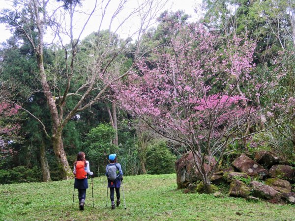 東眼山 拉卡山 卡外山 O形環走1630310