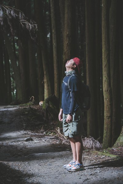 檜山巨木森林步道1177161