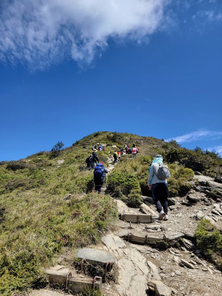 2026-0517-合歡北峰初探3066518