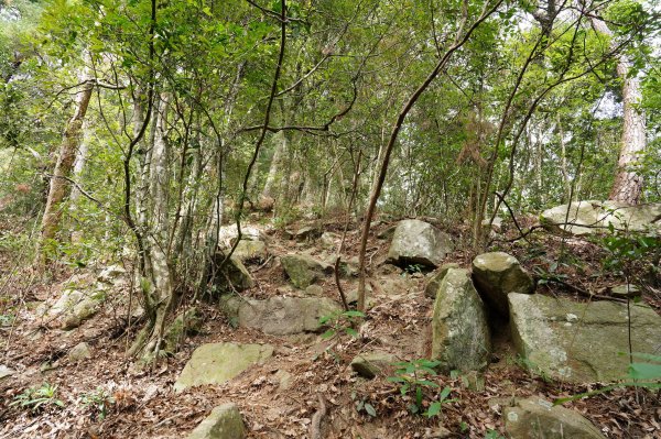 台中 和平 東卯山2674522
