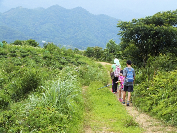 小格頭獅頭山->翡翠水庫鱷魚島19378