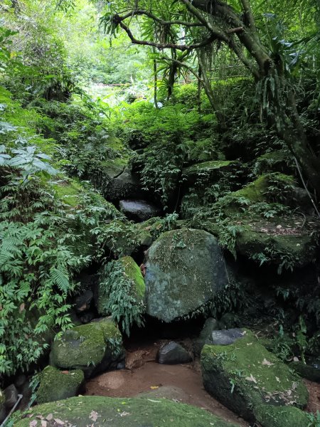 微笑山線二格山系銀河洞越嶺段2986117