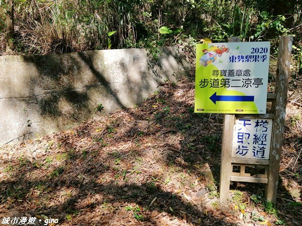 台中~繁花盛開之山旅漫遊~軟埤坑天梯步道1302225