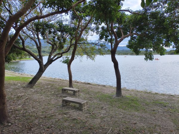 [漫遊縱谷 愛在花東-05/10] 2025_1011 大坡池環潭步道2913293