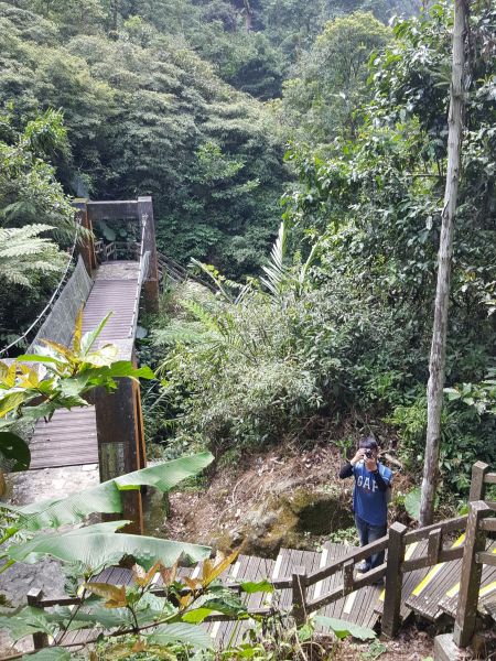 竹坑溪步道踏青183518