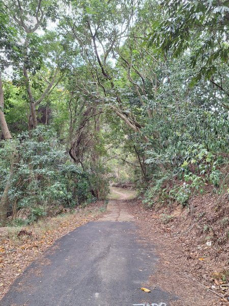 三段崎古道202401222696401