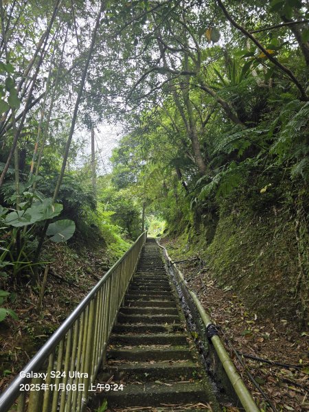 2025-11-08微笑山線：【五分山系】菁桐煤礦段2932702