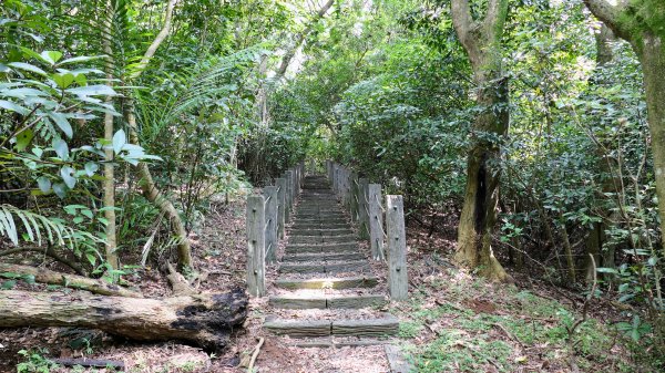 八勢古道,三空泉步道,貴子坑步道2545522