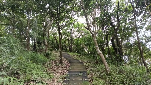汐止區翠湖步道-學頭坡步道-老鷲尖-內溝山步道-翠湖P字走3051236