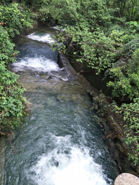 華山步道群(文學步道、1號步道)202105051414614