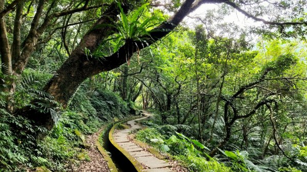 石門青山瀑布（尖山湖瀑布），石門麟山鼻岬角步道，北投中正山，泰山尖凍山，五股水碓景觀公園步道1846274