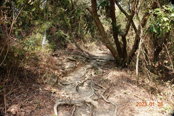 屏東 三地鄉 三地山、三地山南峰2020491