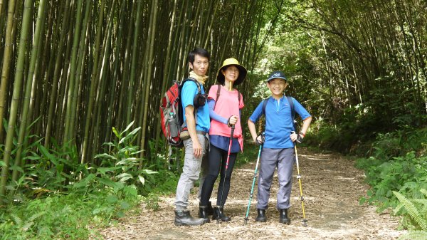 鵝公髻山登山健行趣(小百岳31號)1524806