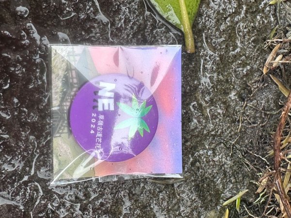 2024草嶺古道芒花季草嶺古道2644807