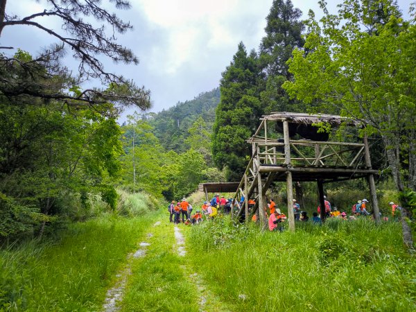 2025-05-17 羅葉尾溪秘境2792400