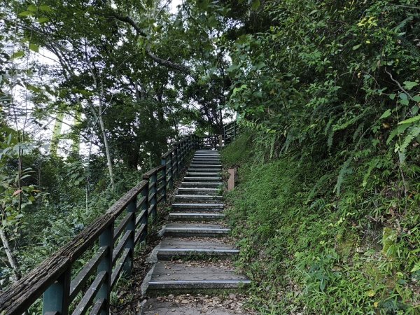 [玉山尋寶任務-07/12] 2025_0824 八通關雲龍瀑布步道2870404