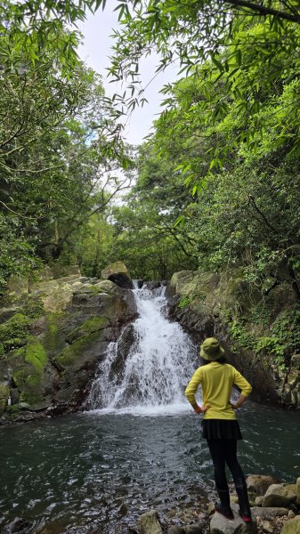 陽明山秘境，涼爽水圳步道，鹿堀坪古道，富士坪古道，夏日戲水與溯溪天堂，首選鹿堀坪（頭前溪）瀑布。2796246