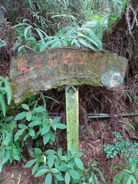 台灣小百岳-屏東笠頂山、棚集山和高雄之旅1169830