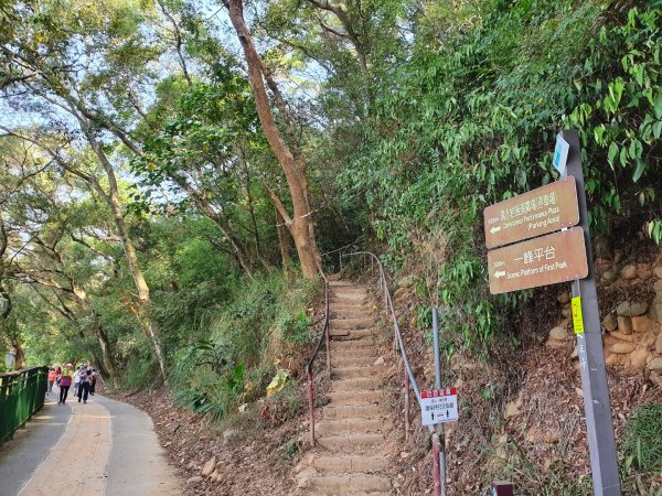 清水岩中央嶺造林步道1188950