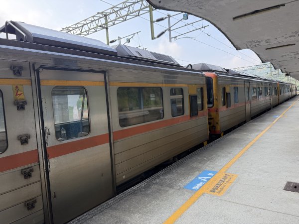 2026_0412 鐘萼木賞花 - 淡蘭國寶樹3035261