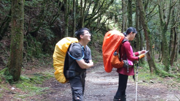 雙龍林道上巒安堂西巒大山1778695