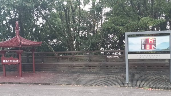 20251010 大雪山國家森林遊樂區 - 船型山林道 登 烏石坑山2911018