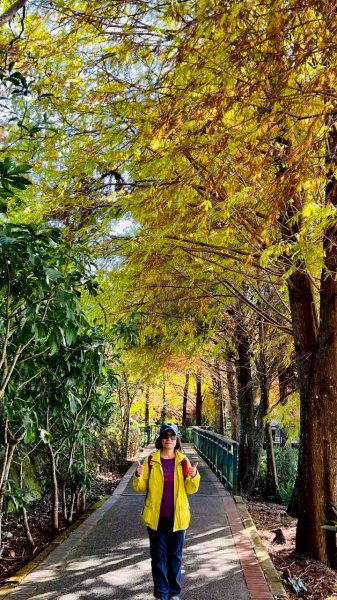 🌈12/21(日)落雨松紅了~日月潭環湖精華段✨FB：熊熊趴爬走🌈2967402