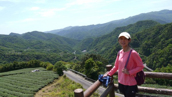 獅公髻尾山登山健行趣（郊山）1577793