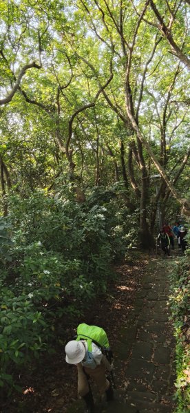 2026-0412 奇岩山_唭哩岸山_丹鳳山_軍艦岩3034864