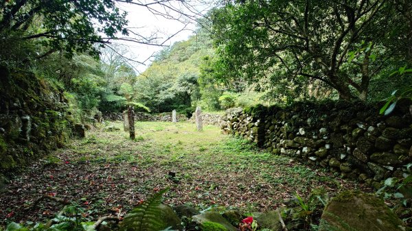 20260125 陽明山前後山健行(無極天元宮~山仔頂步道.向天池.向天山.面天山.二子坪)2998046