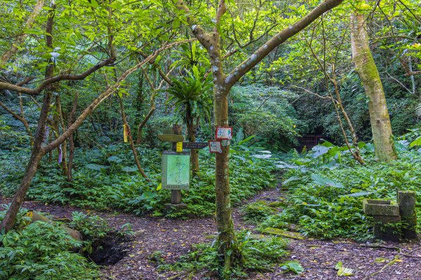 [新北]白雞山與裕峰煤礦遺址2891862