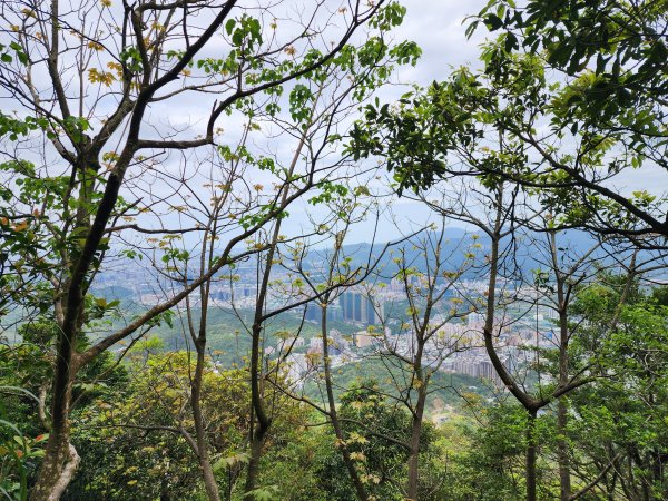 小百岳No.12⛰汐止大尖山2751649