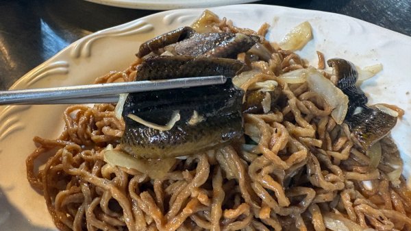 台南一日散策、尋找陽光與記憶的痕跡3055456