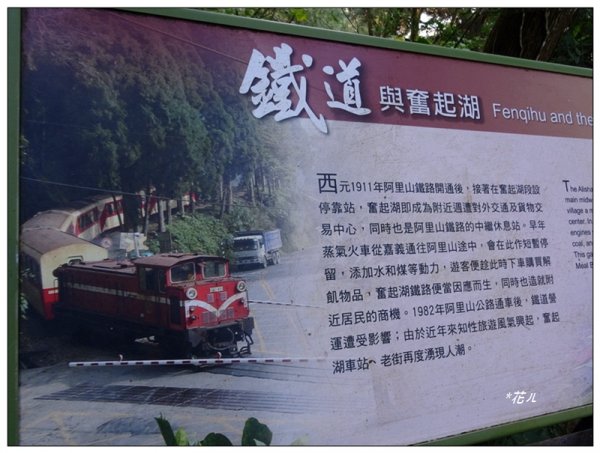 奮起湖大凍山(小百岳)1614086