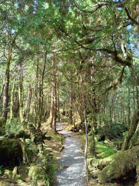 湖光山色－翠峰湖環山步道708040