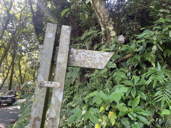 [皮皮獅Hike客任務-07/10] 2024_0831 大山背麒麟步道2586088