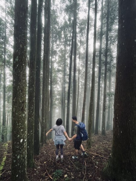 油羅山 2025 09/132890055