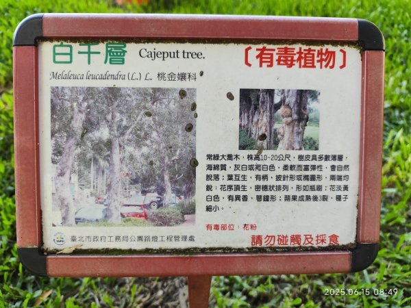 內湖碧湖公園步道、郭子儀紀念堂、獅頭山、大港墘公園、宏匯瑞光廣場2813425