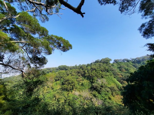 《彰化》田中森林登山步道O型202011221179710