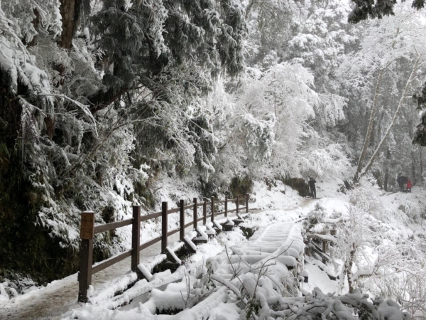 2018.02 - 見晴懷古步道賞雪趣263481