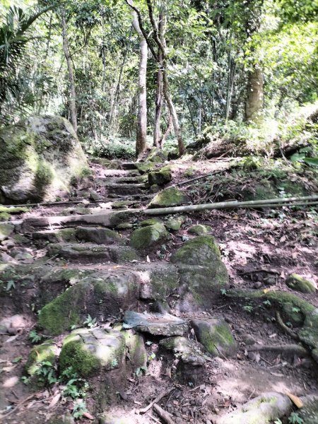 五指山登山步道2269244