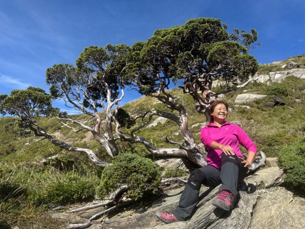 合歡山北峰2908751