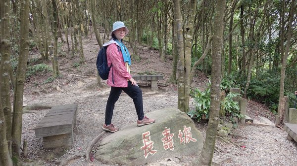 (姨婆趴趴走)第五十五集:攀登健走台北大崙頭尾山親山步道環狀一圈2853768