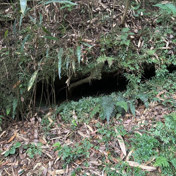 七星山苗圃路線2922637