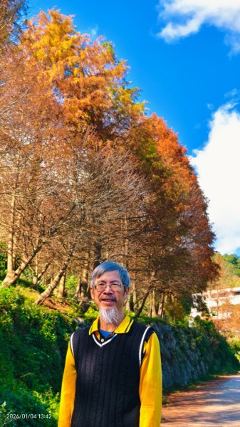 #花卉試驗中心 #永公路500巷 #平菁街42巷 #原住民公園 #士林官邸 1/42976605