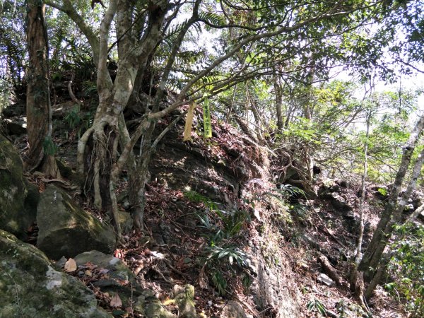 小百岳:白雲山1323203